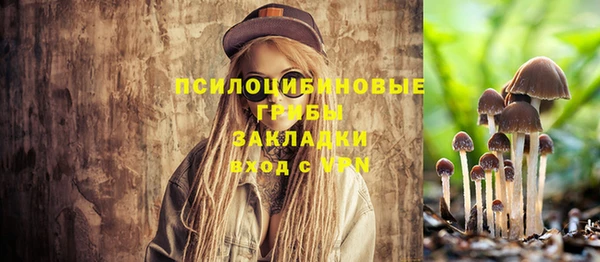 кристаллы Горняк